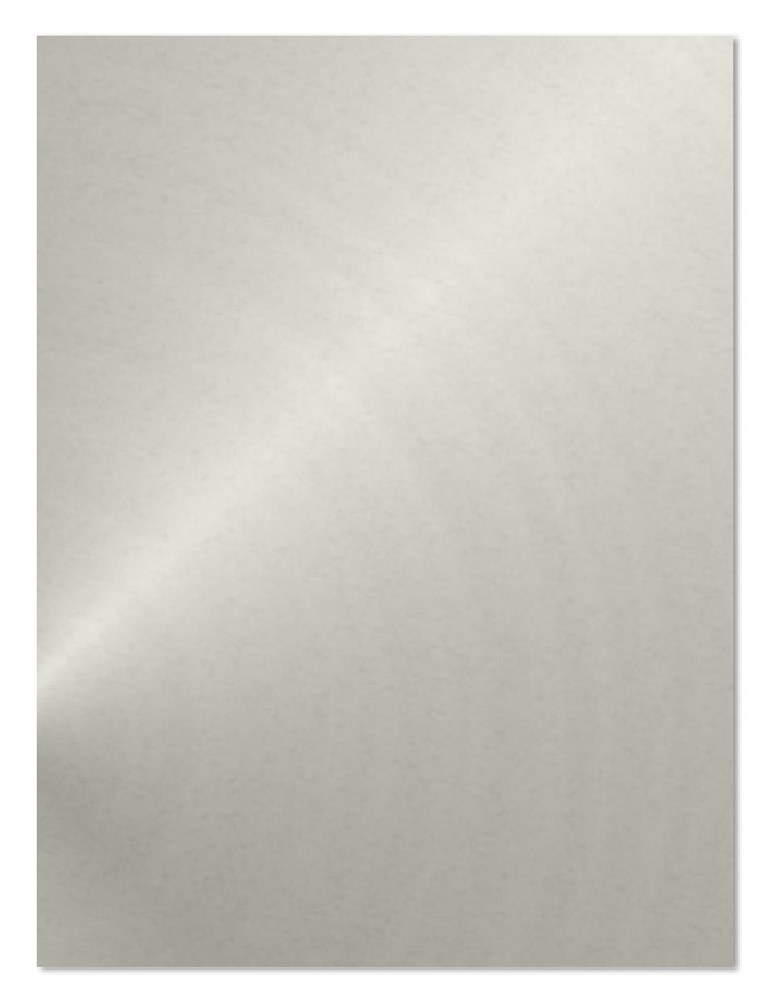 Металлическая пластина 20х30 см (цвет серебро) сталь