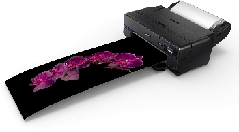 Широкоформатный принтер Epson SureColor SC-P800 (C11CE22301BX)