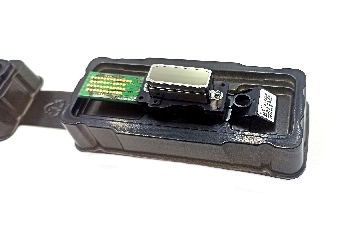 Печатающая головка  Roland DX-4 SV LEF2-300 (6000005180)